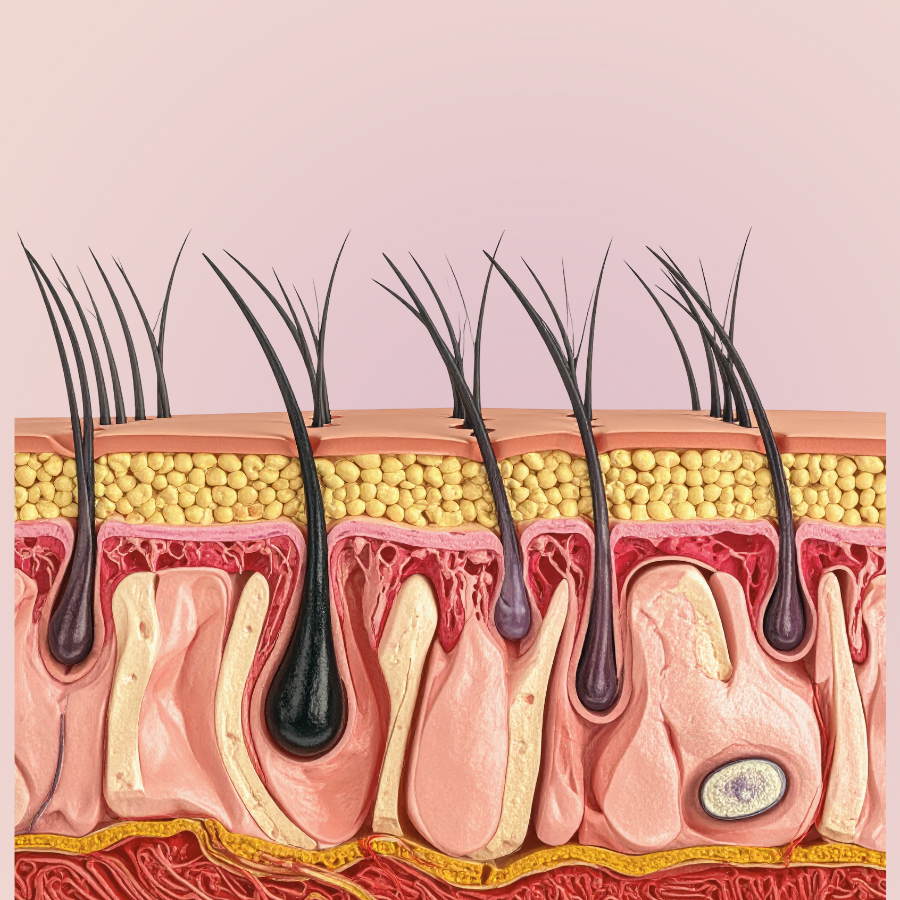 How Does the LaserLuxe IPL Hair Removal Handset Work? 🔬✨